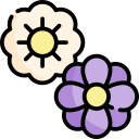 fiori
