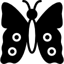 Бабочка