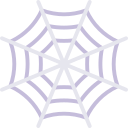 spinnennetz