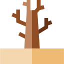 albero secco