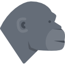 gorille