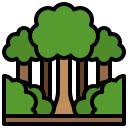 forêt