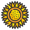 girasol