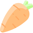 carota