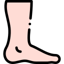 voet