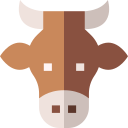 Ox