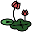 цветок лотоса