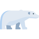 oso polar