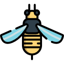 abeja