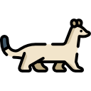 armiño