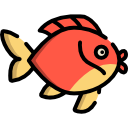 goldfisch