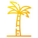 Palm tree