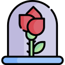 rosa