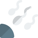 Sperm