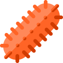 zeekomkommer