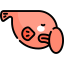 pesce blob