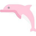 delfin