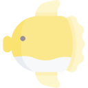 pesce luna