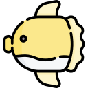 słoneczna ryba