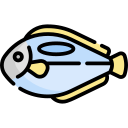 Surgeon fish