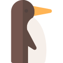 pingwin