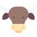 Bull