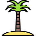 suiker palmboom