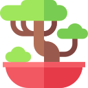 bonsai