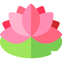 lotus