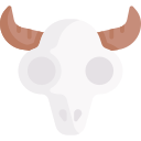 crâne de bétail