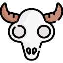 Cattle skull