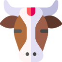 Święta krowa