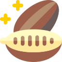 ziarno kakaowca