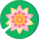flor de loto