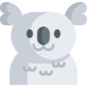 koala