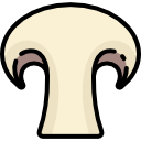 champignon