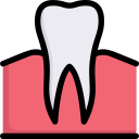 molar