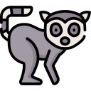 lemur