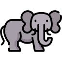 elefant