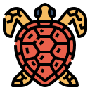 tortuga