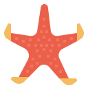 estrella de mar