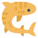rekin