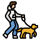 cane che cammina