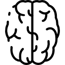 Brain