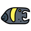 Angelfish