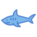 Shark