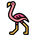 flamingo