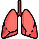 pulmones