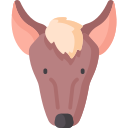 xoloitzcuintle