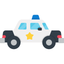 carro de policia